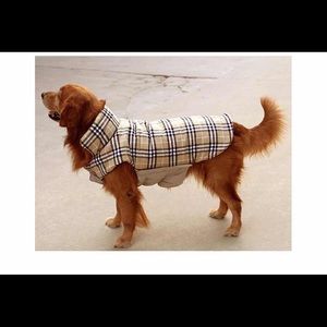 Dog’s Coat